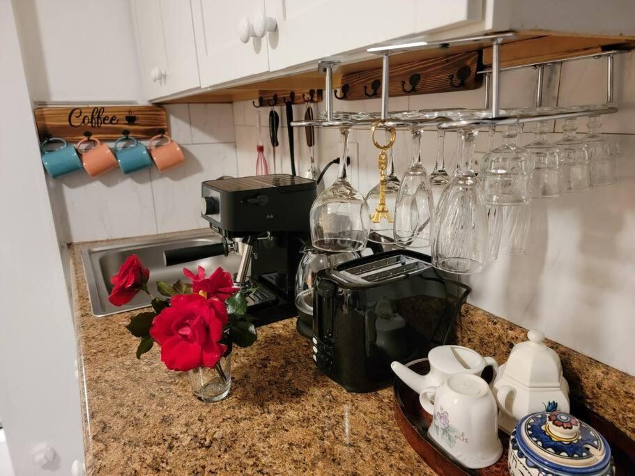Comfy And Chic Boston Apartment! Free Parking Exteriör bild