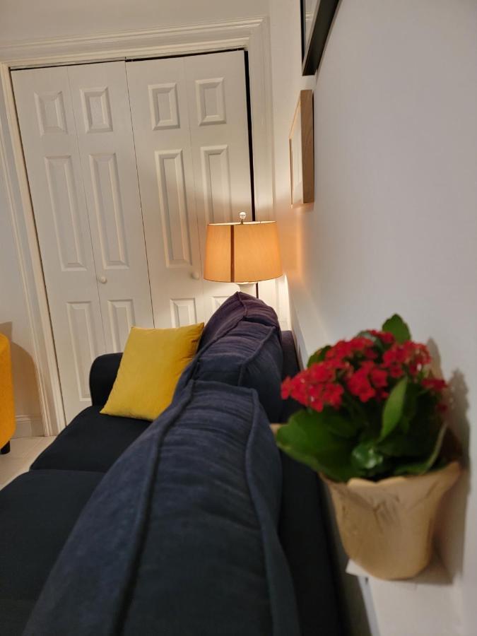 Comfy And Chic Boston Apartment! Free Parking Exteriör bild